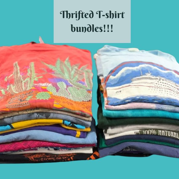 Tops - MYSTERY T-Shirt Bundle 90s Vintage Style ,Y2K T-Shirt Bundle, Retro Graphic Tees